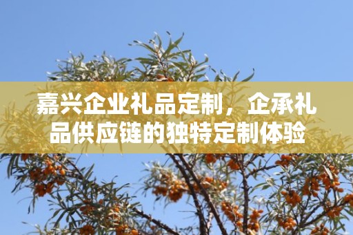 嘉兴企业礼品定制，企承礼品供应链的独特定制体验