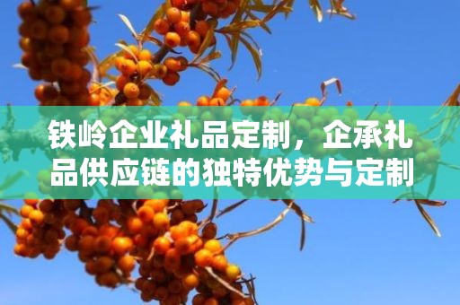 铁岭企业礼品定制，企承礼品供应链的独特优势与定制体验