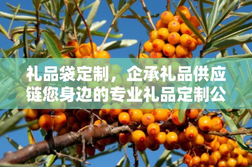 礼品袋定制，企承礼品供应链您身边的专业礼品定制公司